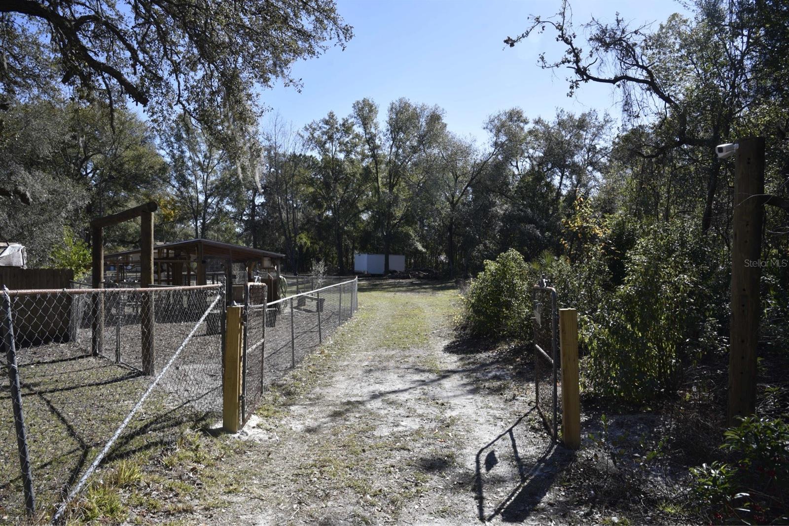 CAYUGA DR, ORANGE CITY, FL, 32763