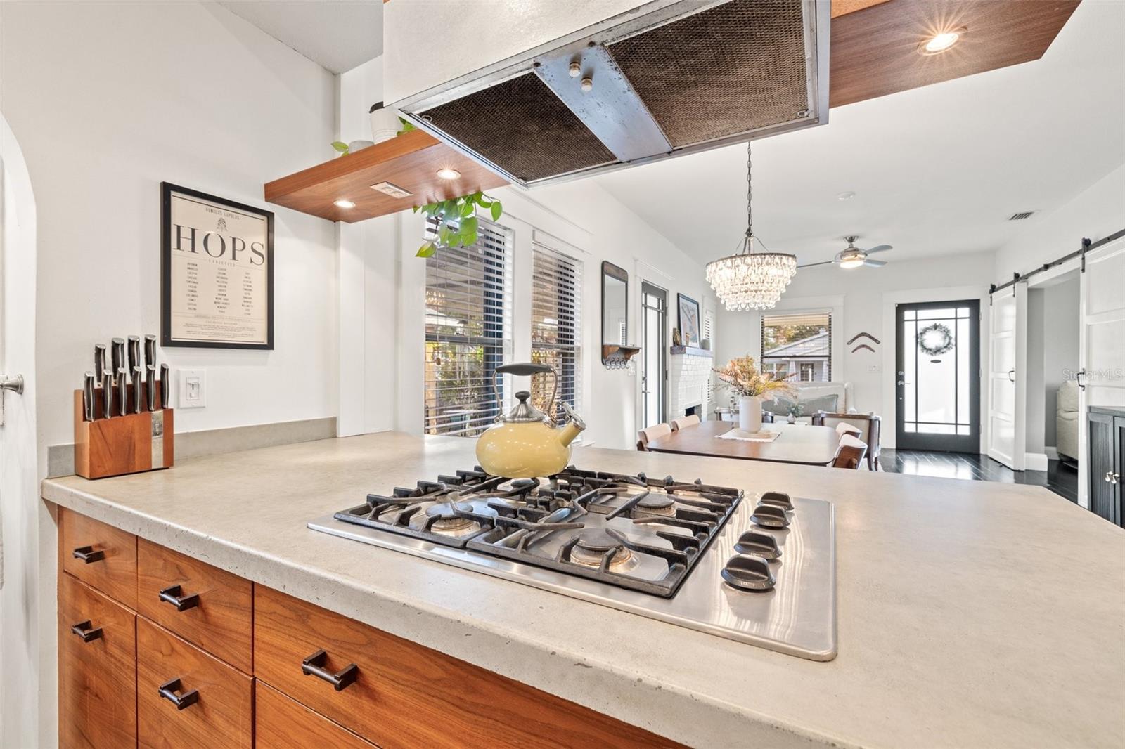 117 W FERN ST, TAMPA, FL, 33604