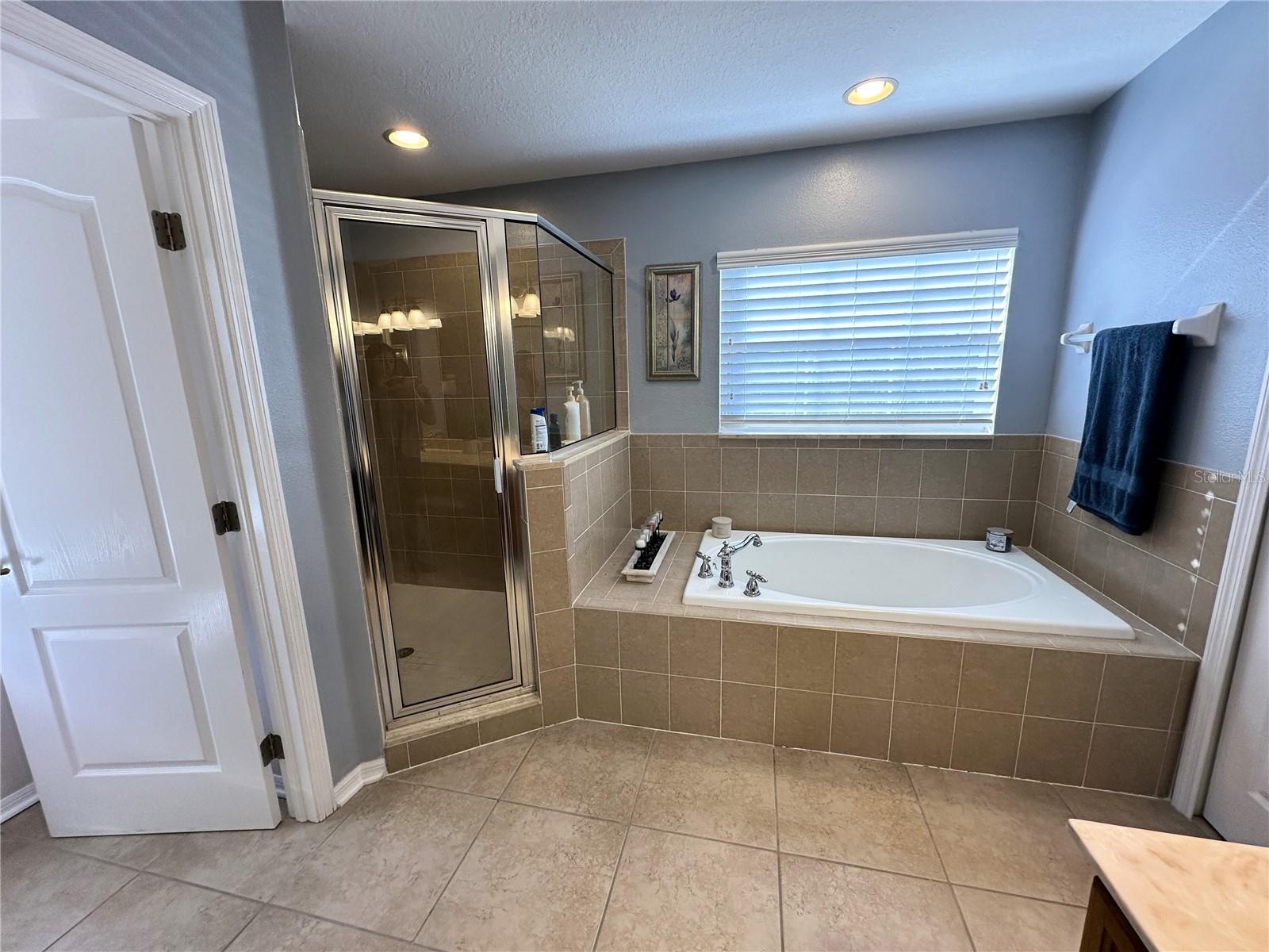 8010 ABBEY MIST CV, TAMPA, FL, 33619