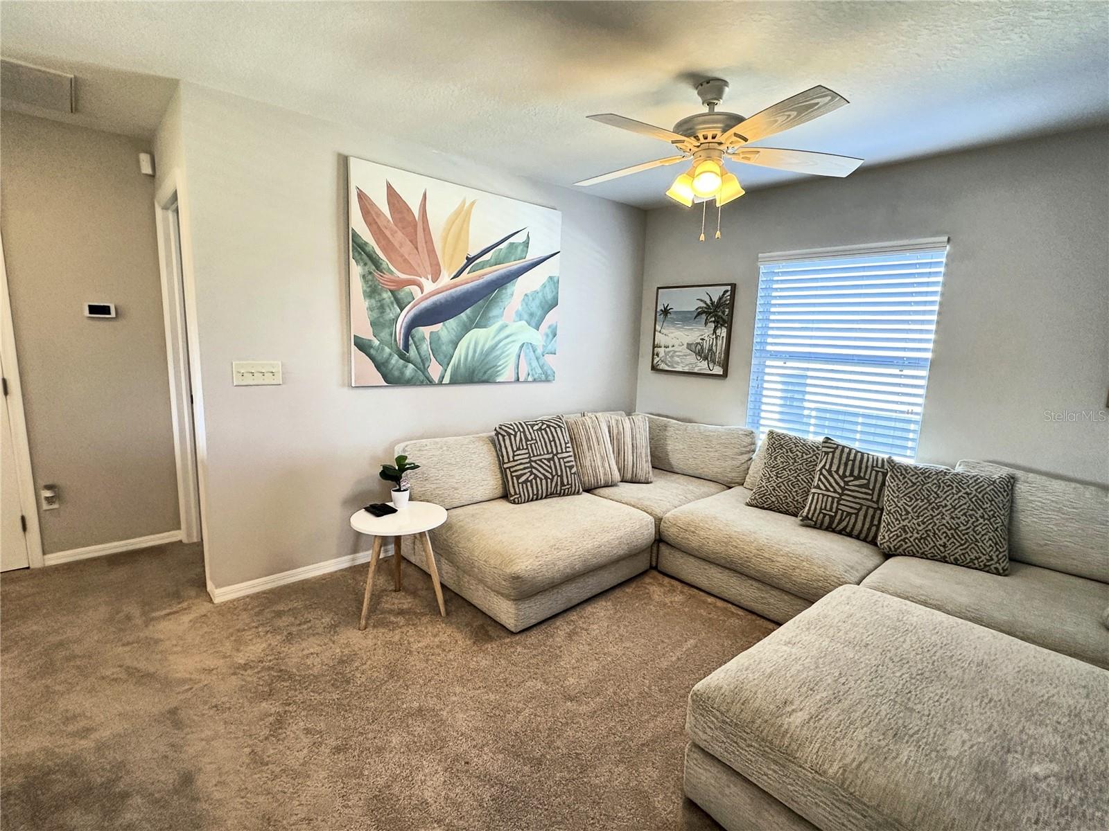 8010 ABBEY MIST CV, TAMPA, FL, 33619