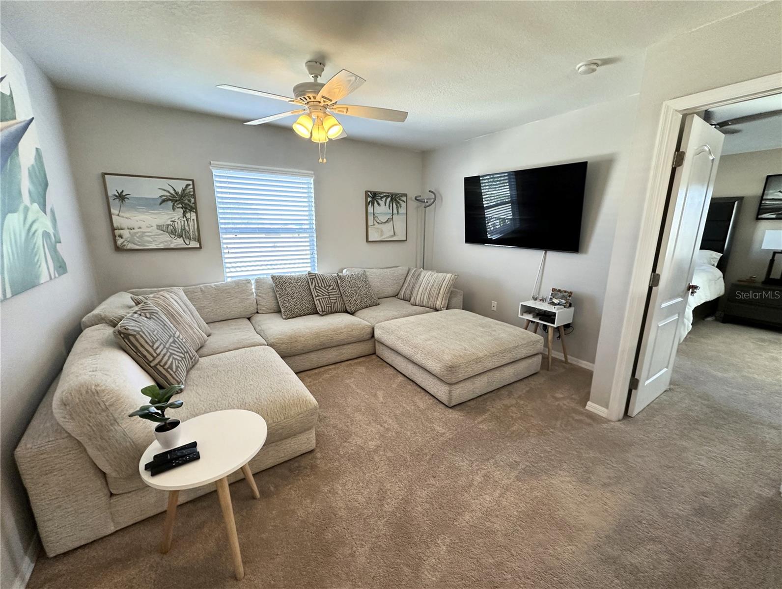 8010 ABBEY MIST CV, TAMPA, FL, 33619