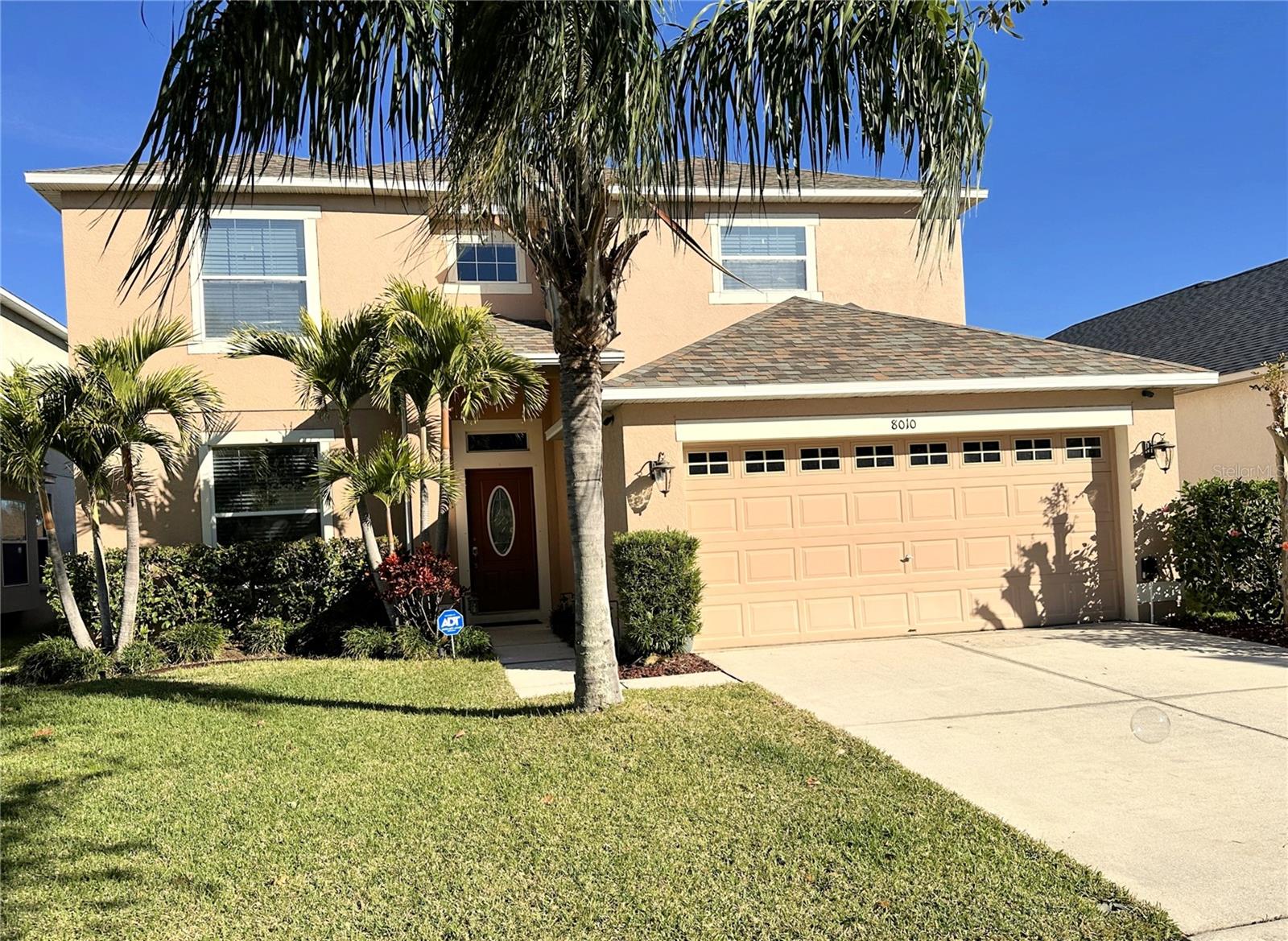 8010 ABBEY MIST CV, TAMPA, FL, 33619