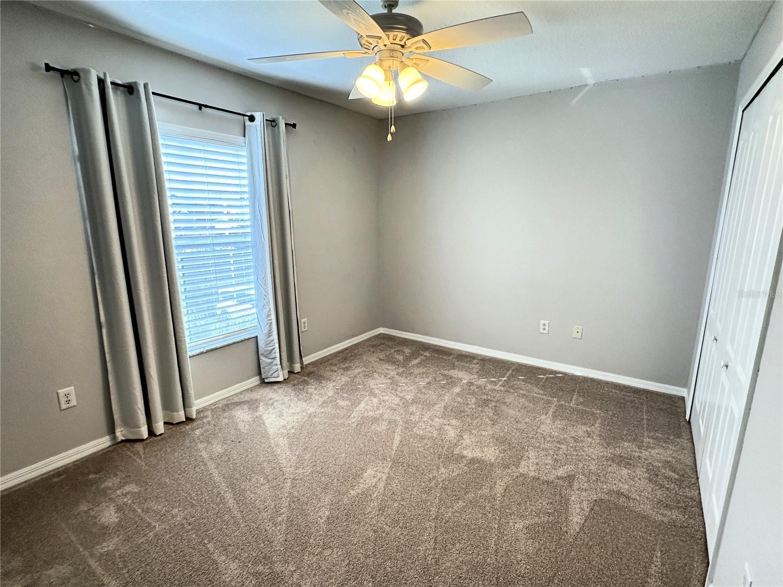 8010 ABBEY MIST CV, TAMPA, FL, 33619