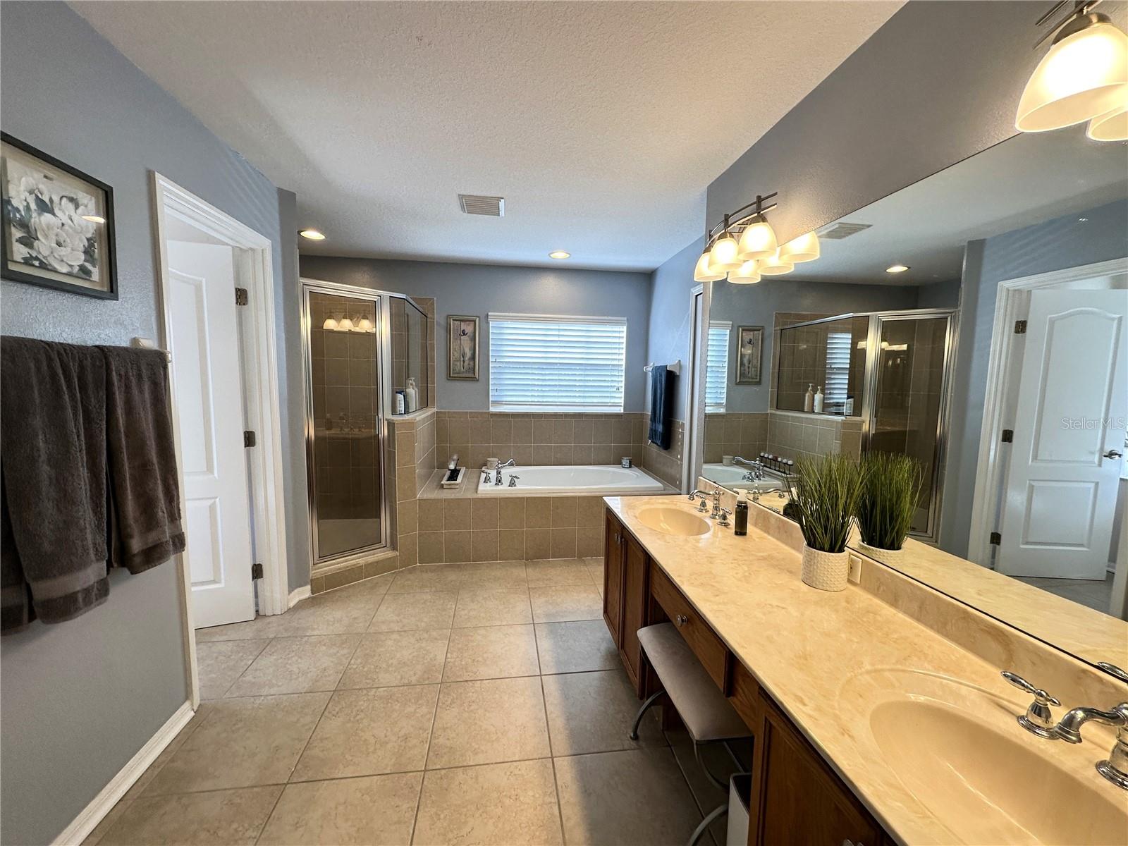 8010 ABBEY MIST CV, TAMPA, FL, 33619