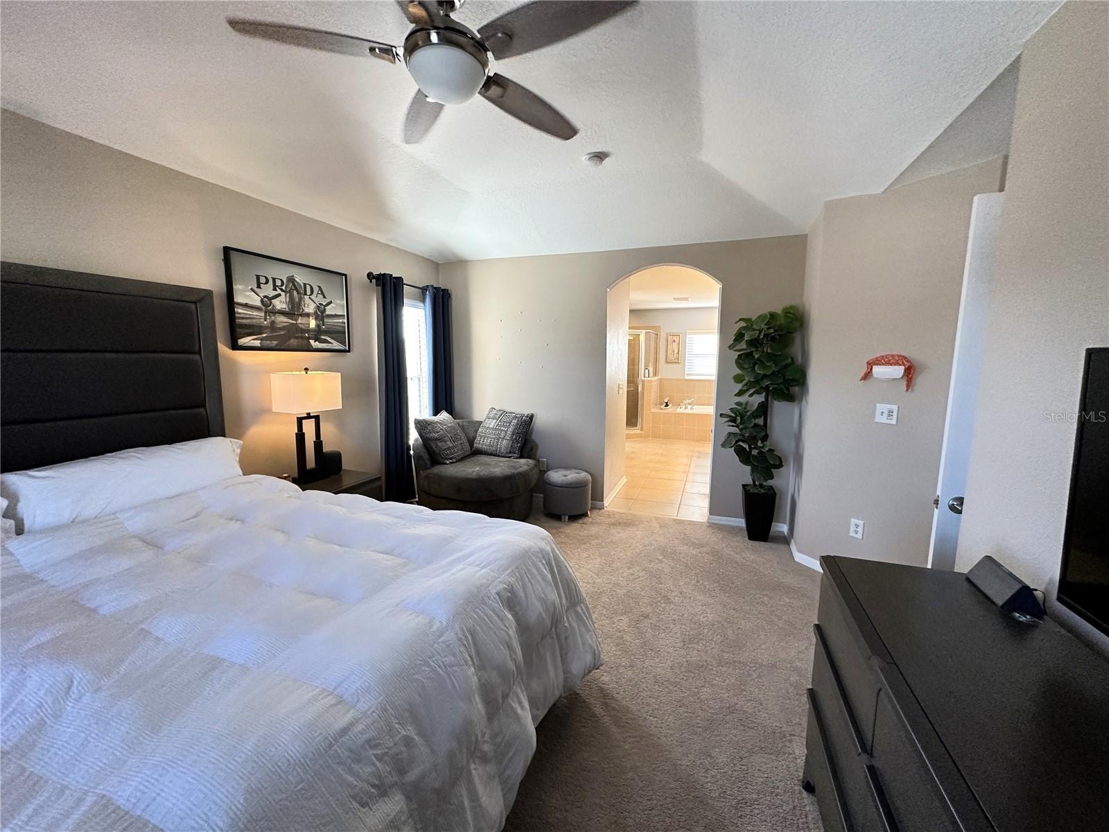 8010 ABBEY MIST CV, TAMPA, FL, 33619