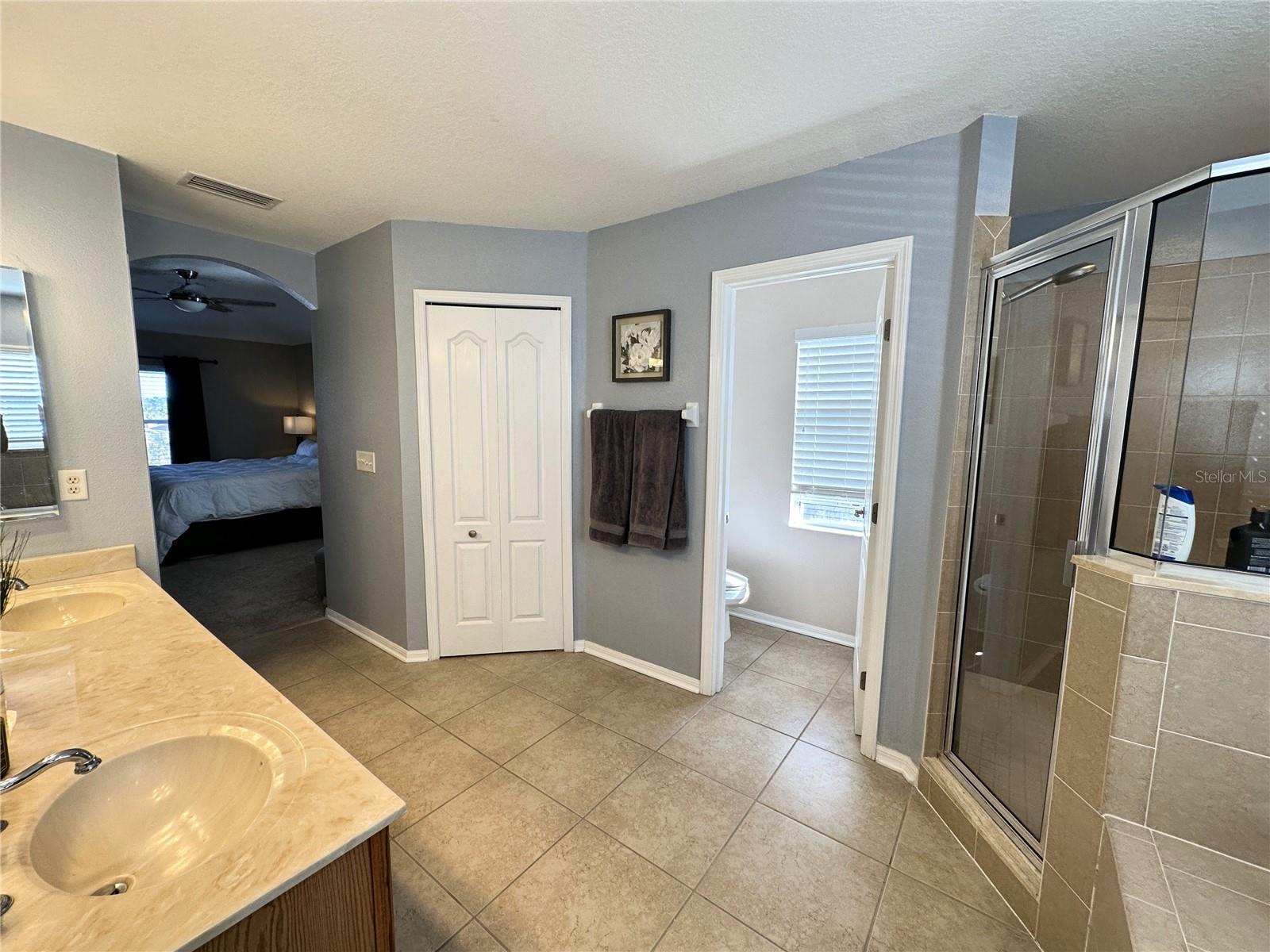 8010 ABBEY MIST CV, TAMPA, FL, 33619