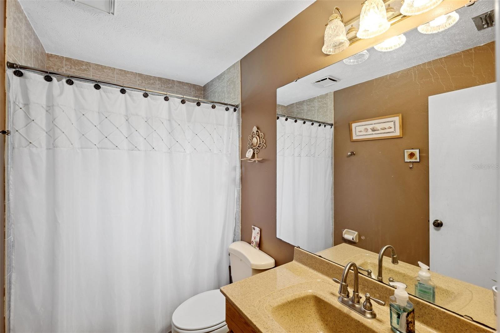 905 W RIVER DR, TEMPLE TERRACE, FL, 33617