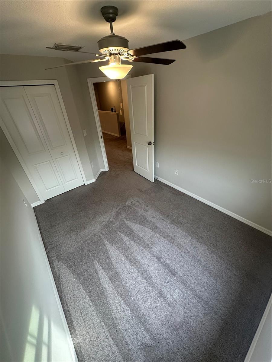 4431 GLOBE THISTLE DR, TAMPA, FL, 33619