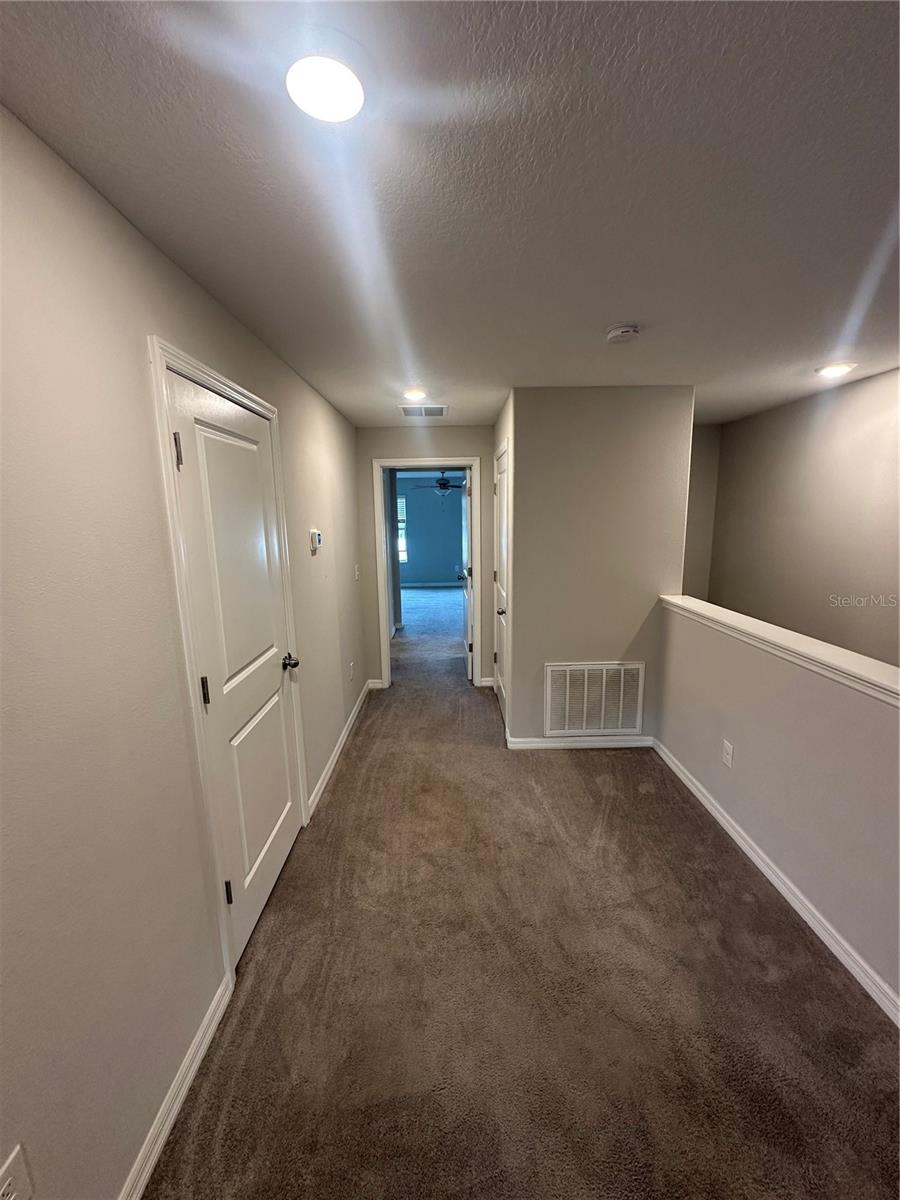 4431 GLOBE THISTLE DR, TAMPA, FL, 33619