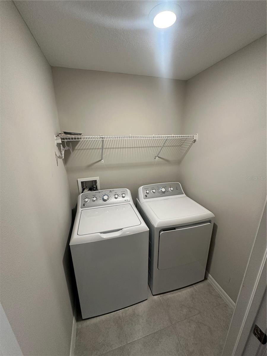 4431 GLOBE THISTLE DR, TAMPA, FL, 33619