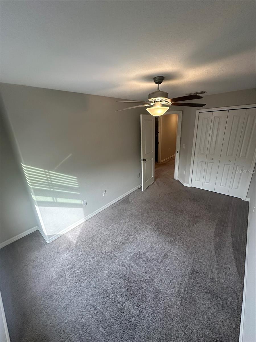 4431 GLOBE THISTLE DR, TAMPA, FL, 33619