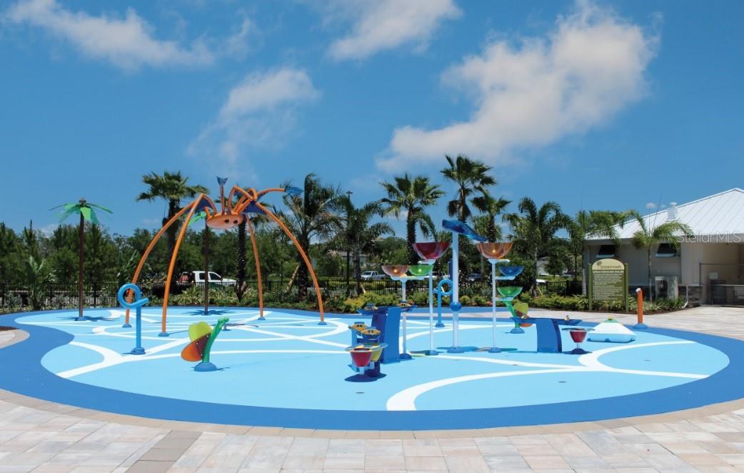 10135 ZENNIA LN, PARRISH, FL, 34219