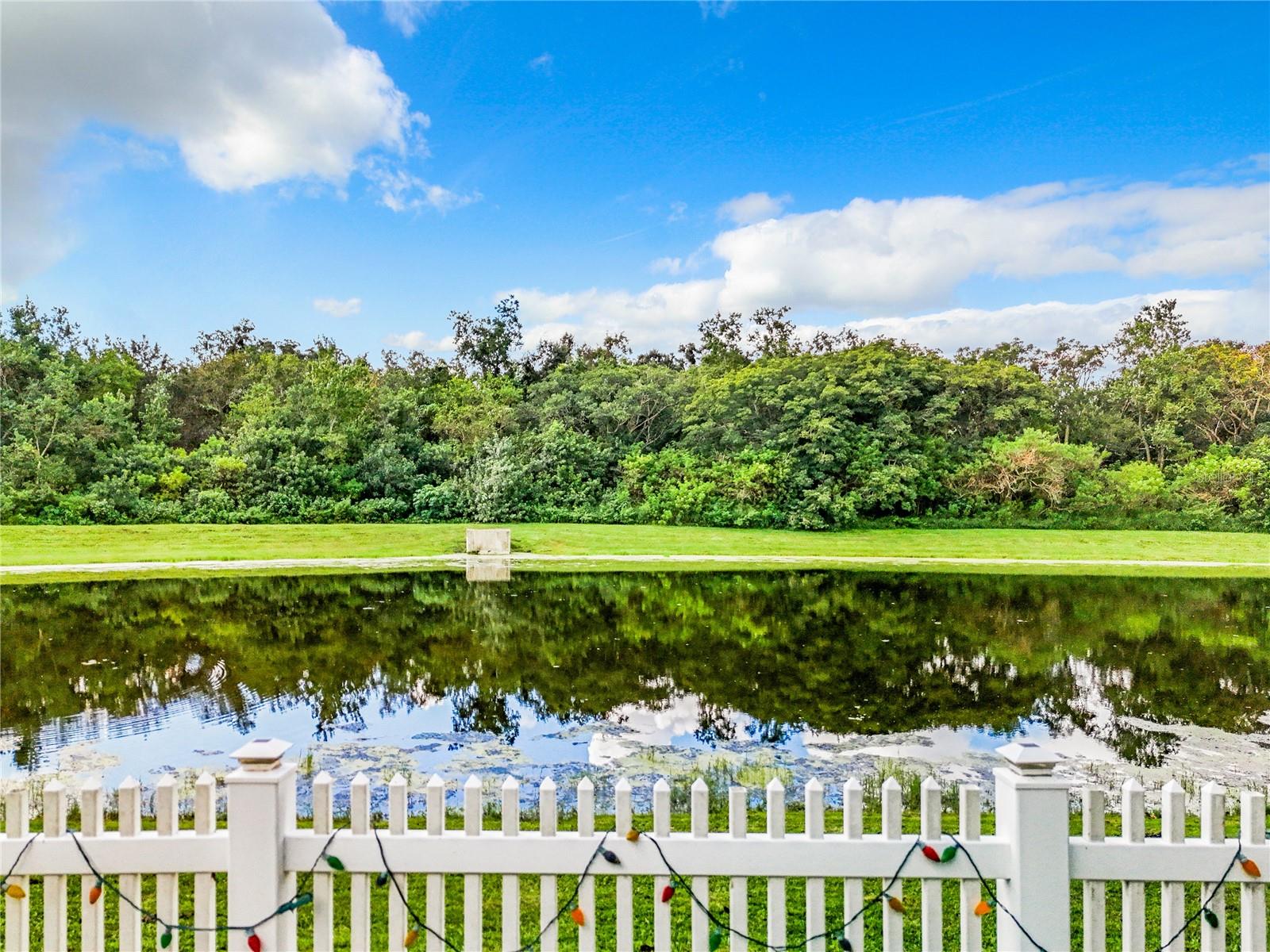 361 SPRING LEAP CIR, WINTER GARDEN, FL, 34787
