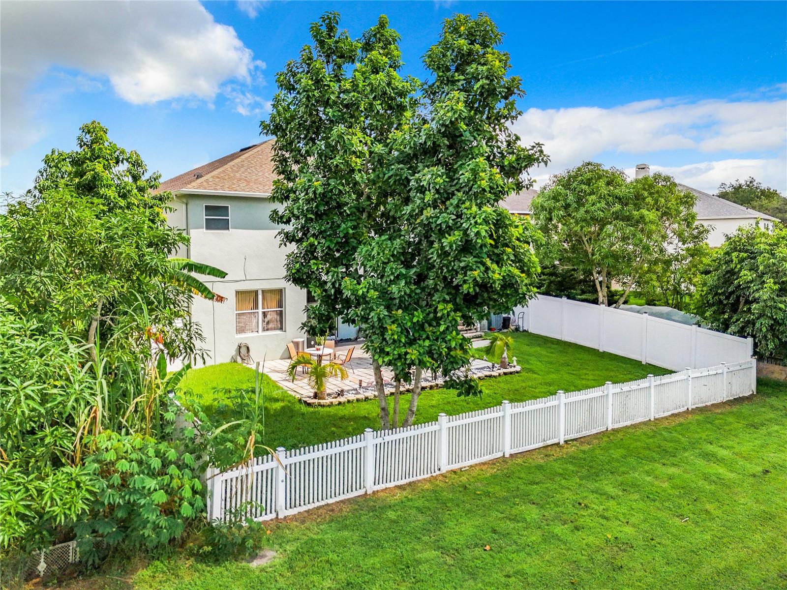 361 SPRING LEAP CIR, WINTER GARDEN, FL, 34787