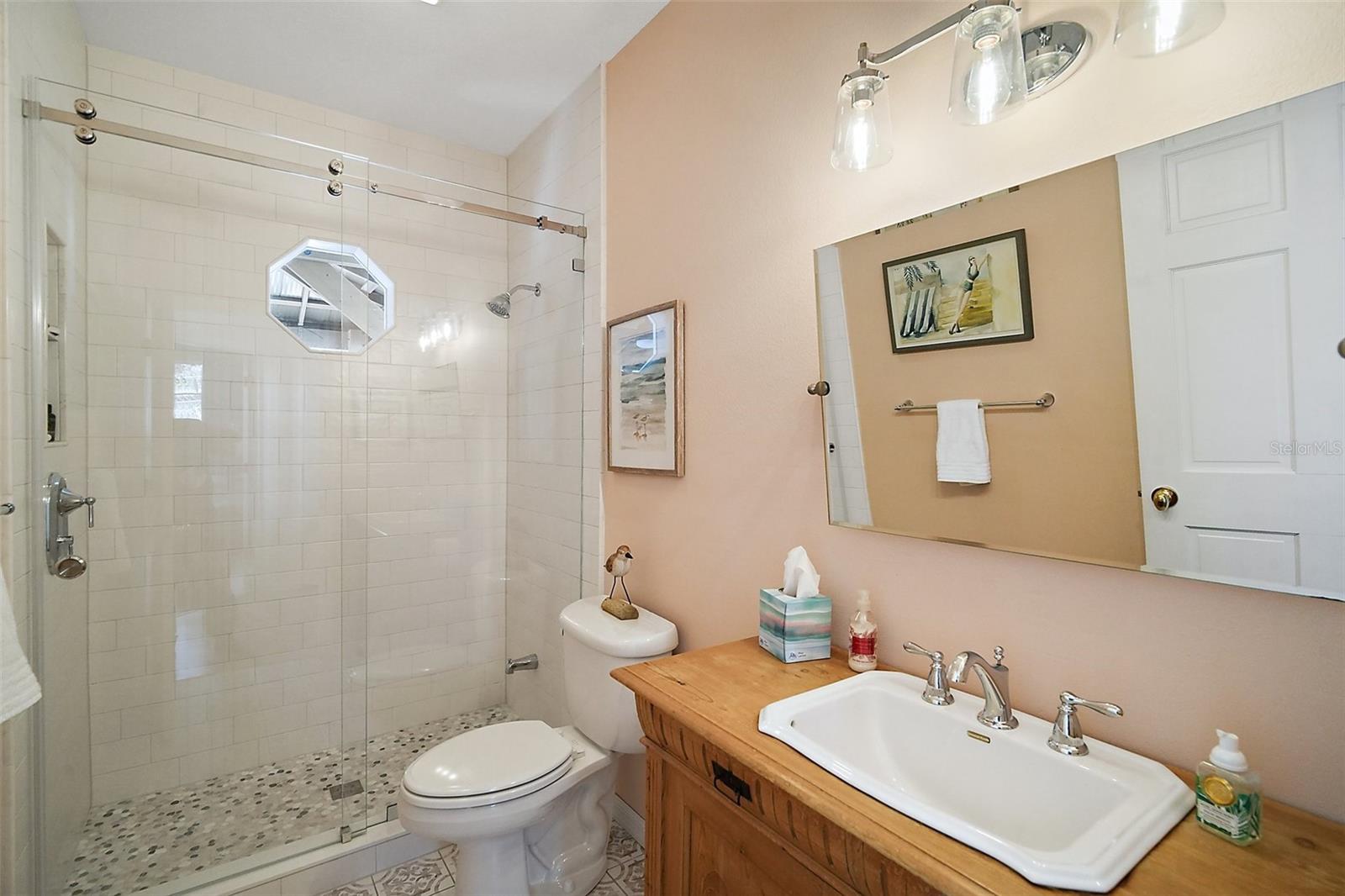 163 N CLAYTON ST, MOUNT DORA, FL, 32757