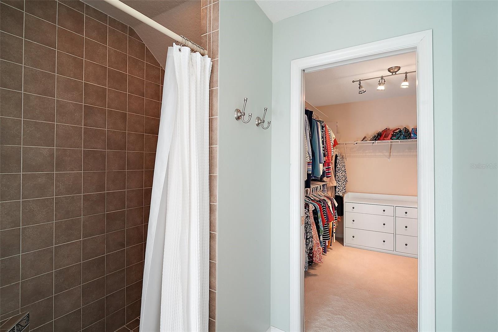 163 N CLAYTON ST, MOUNT DORA, FL, 32757