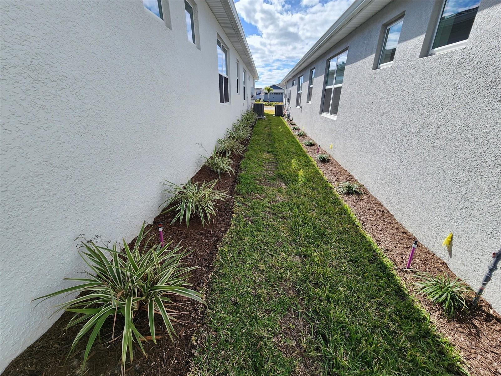 15807 GEM VIEW ST, WINTER GARDEN, FL, 34787