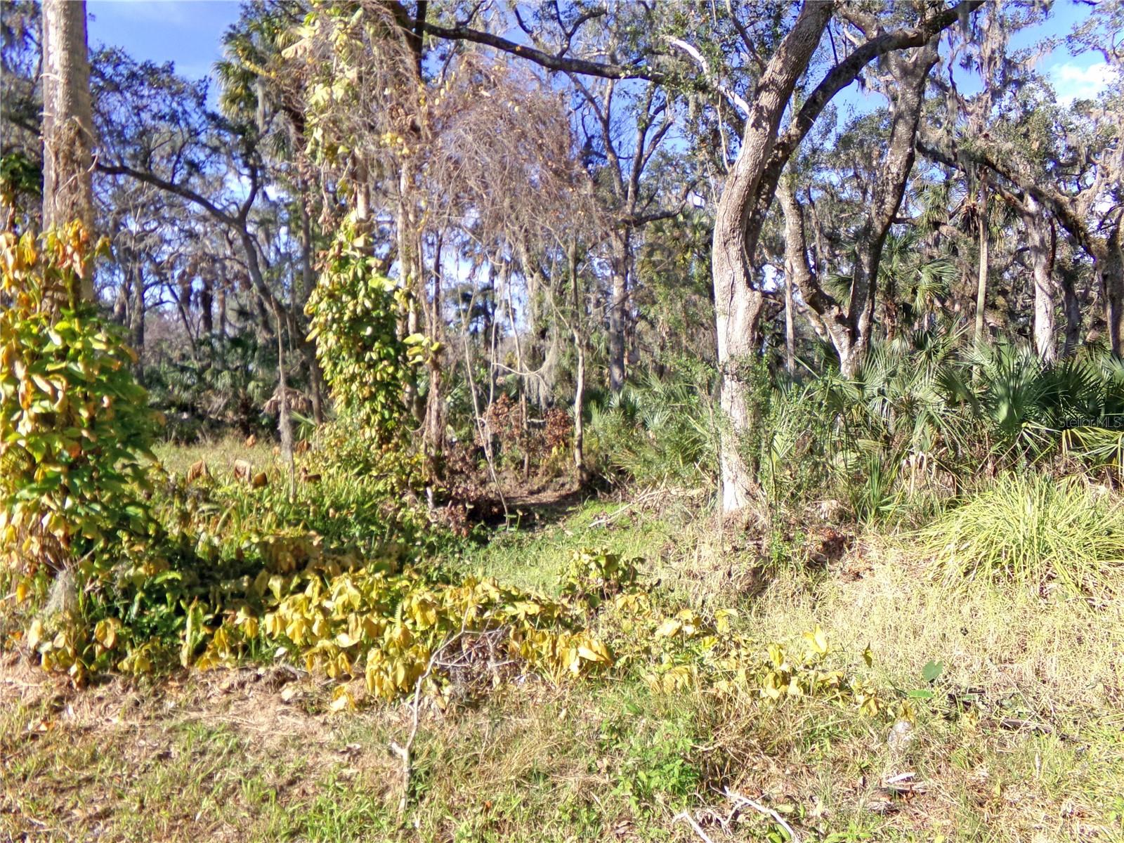 316 WENDEL AVE, LITHIA, FL, 33547