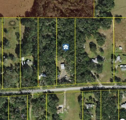 316 WENDEL AVE, LITHIA, FL, 33547