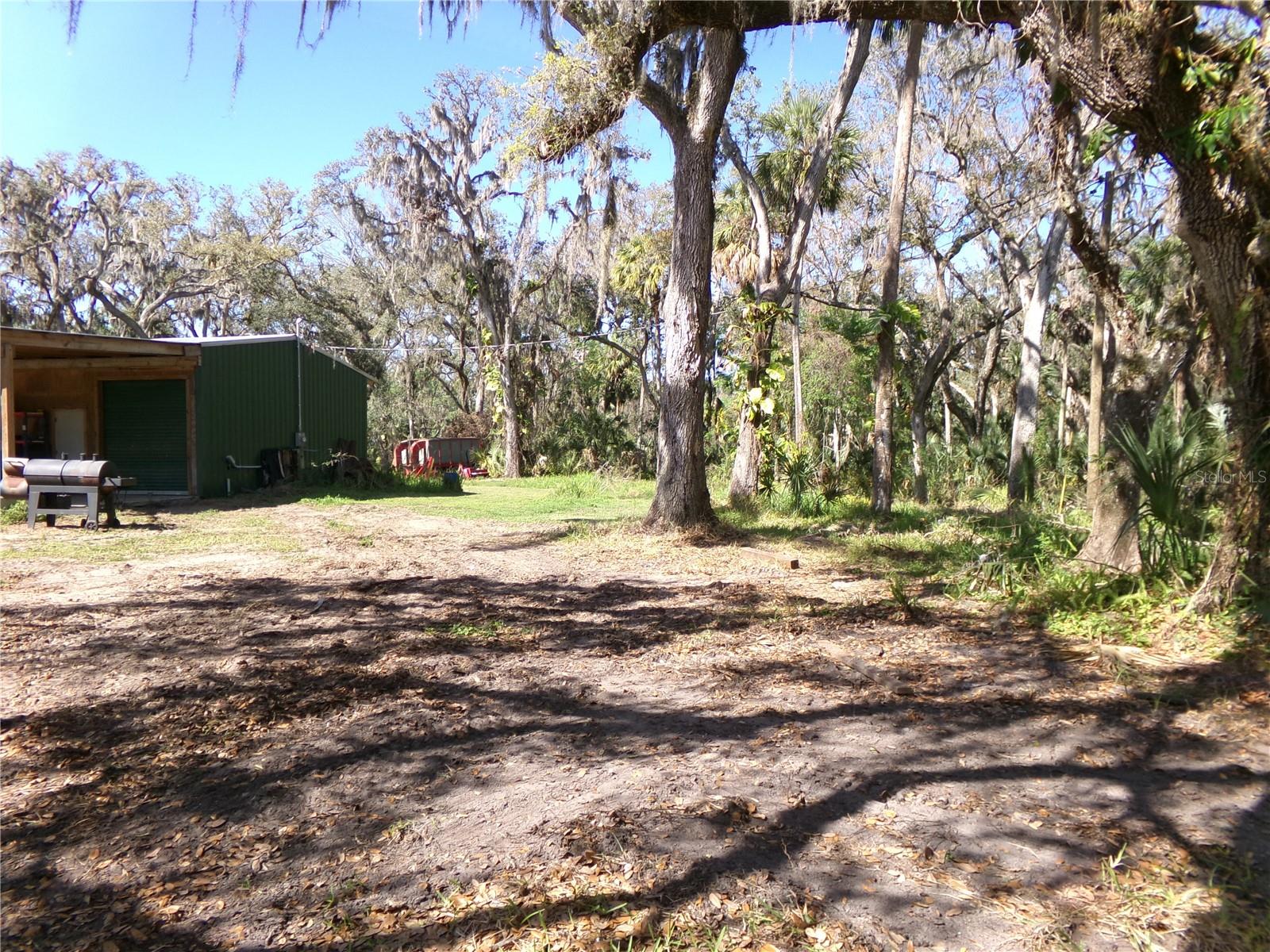 316 WENDEL AVE, LITHIA, FL, 33547