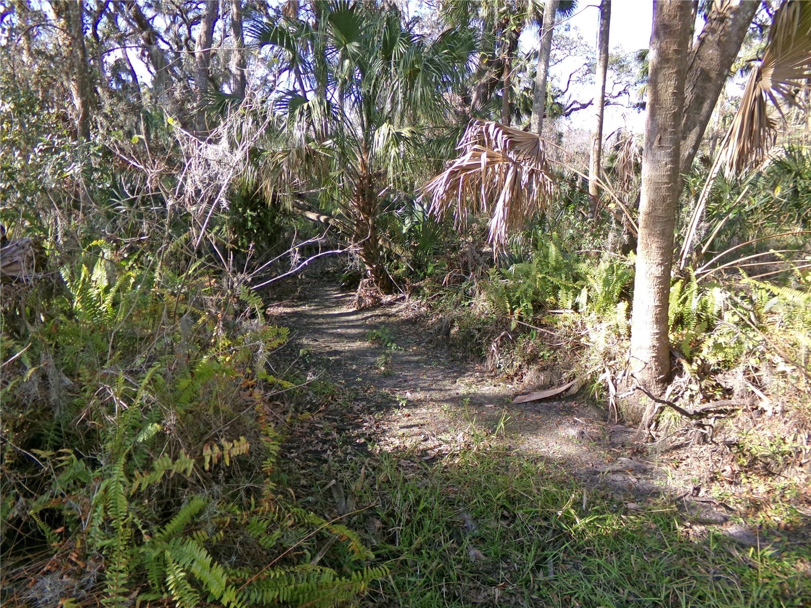 316 WENDEL AVE, LITHIA, FL, 33547