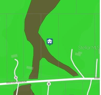 316 WENDEL AVE, LITHIA, FL, 33547