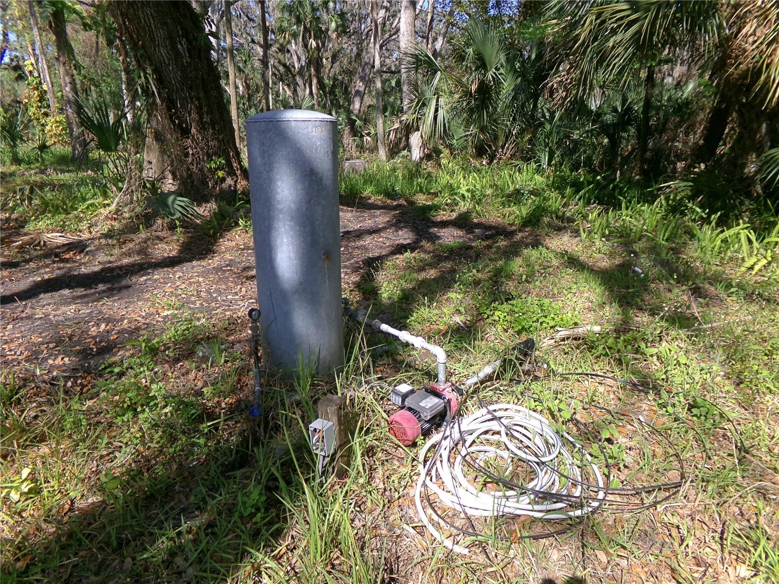 316 WENDEL AVE, LITHIA, FL, 33547