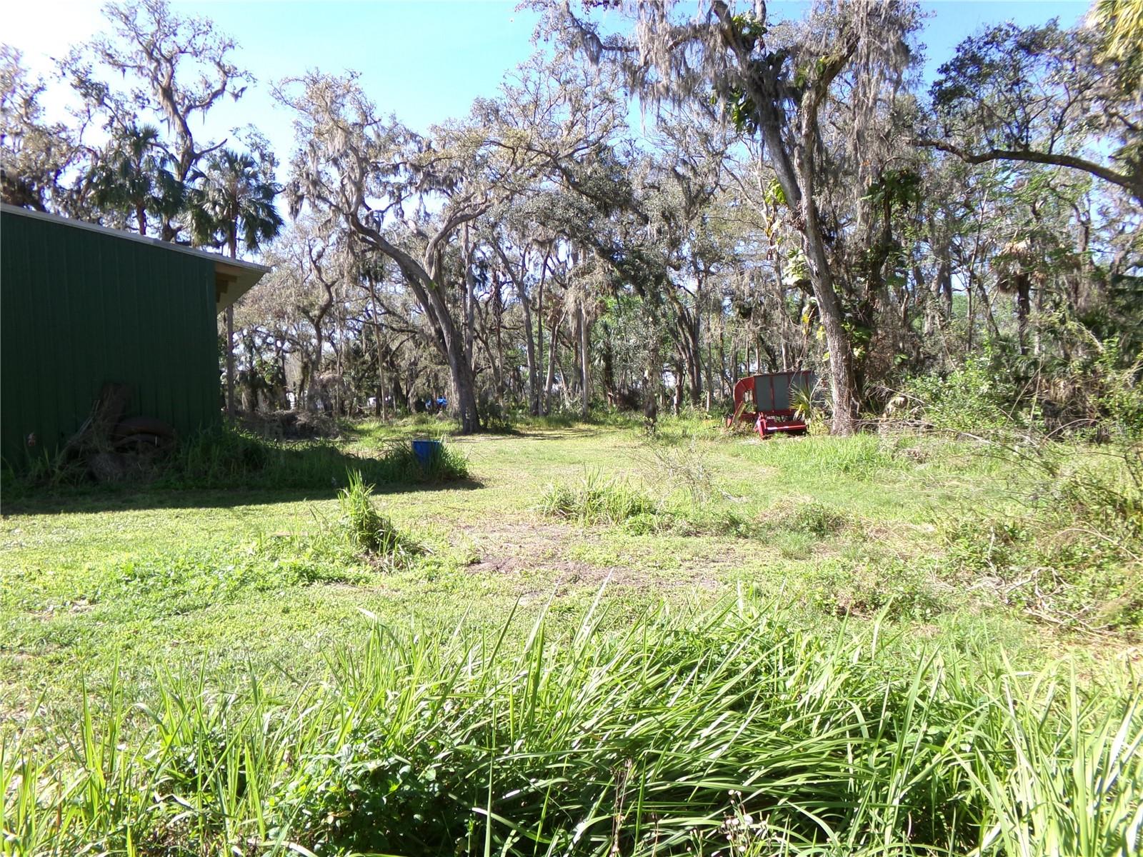 316 WENDEL AVE, LITHIA, FL, 33547