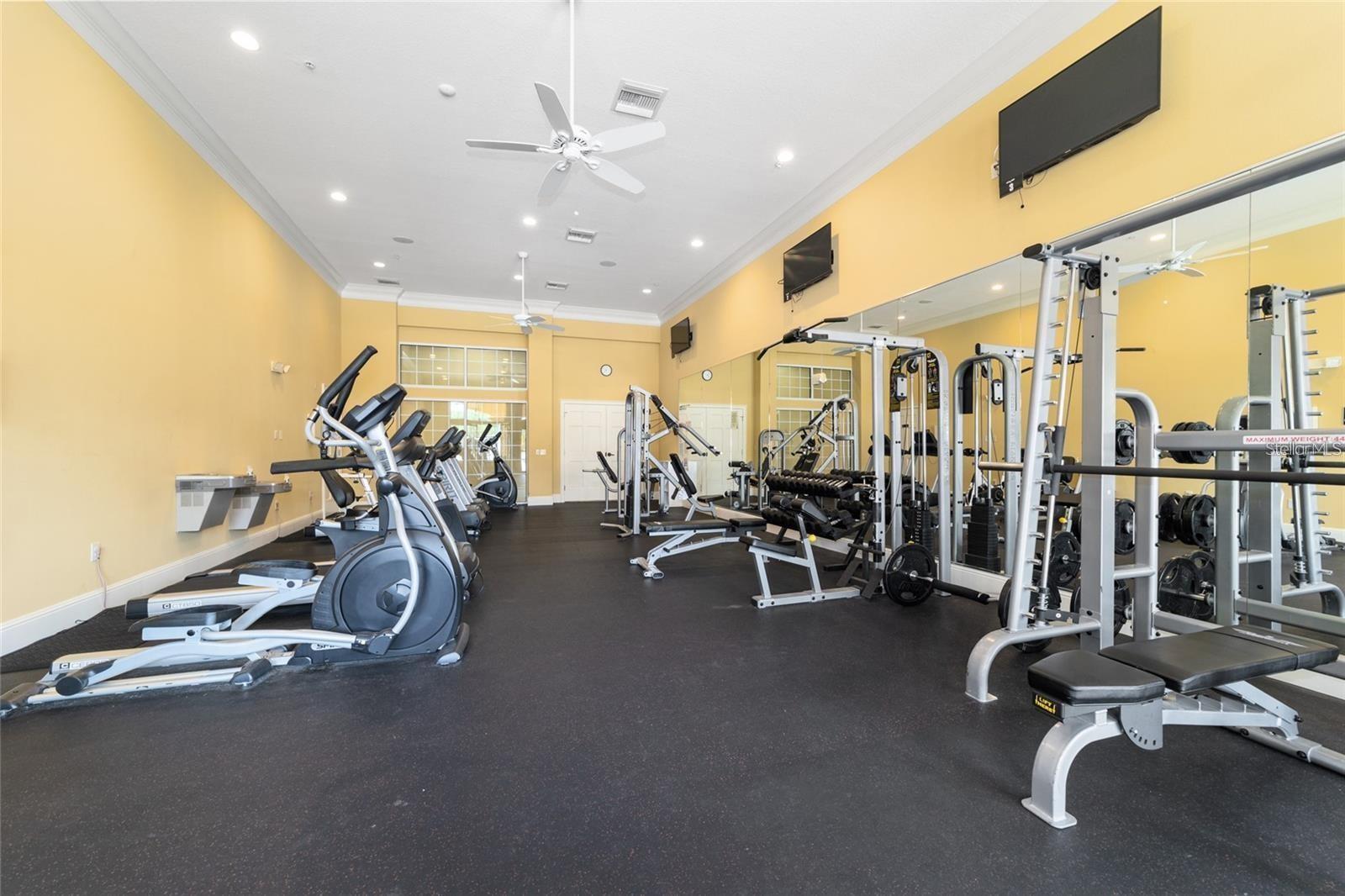 4987 BELTED KINGFISHER DR, OXFORD, FL, 34484