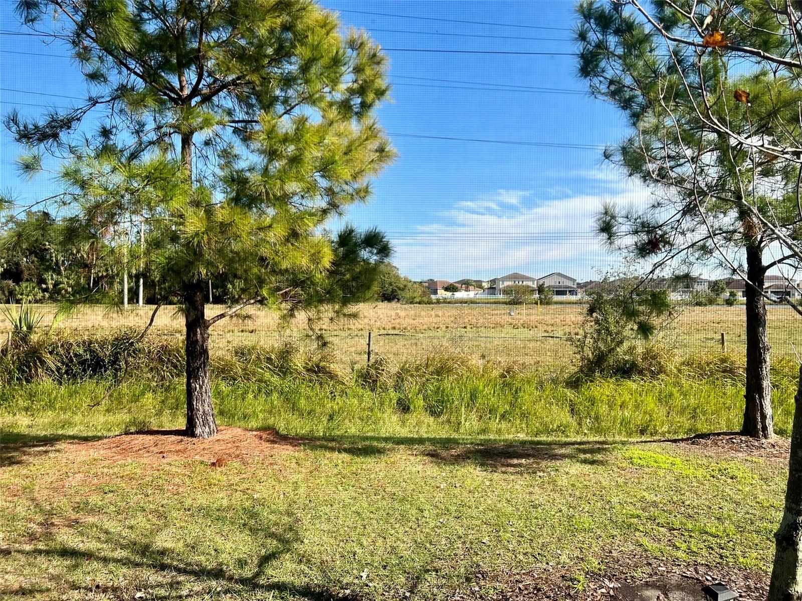 7106 GRAND ELM DR, RIVERVIEW, FL, 33578