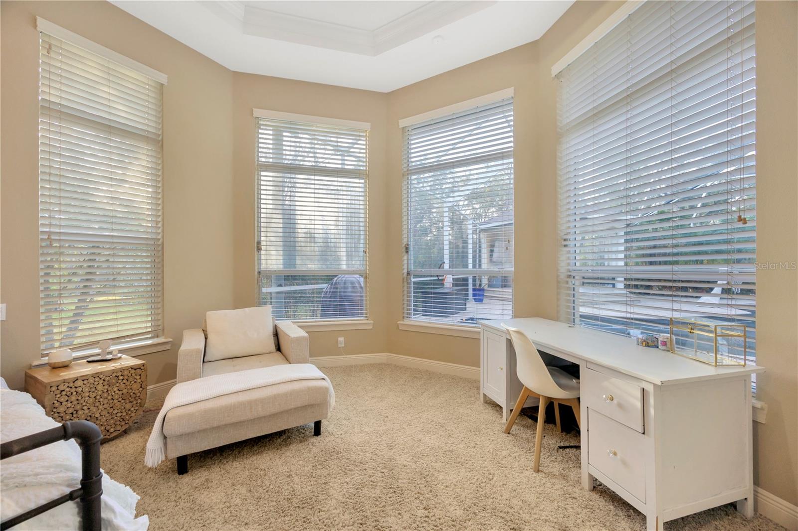 27708 INDIGO POND CT, WESLEY CHAPEL, FL, 33544
