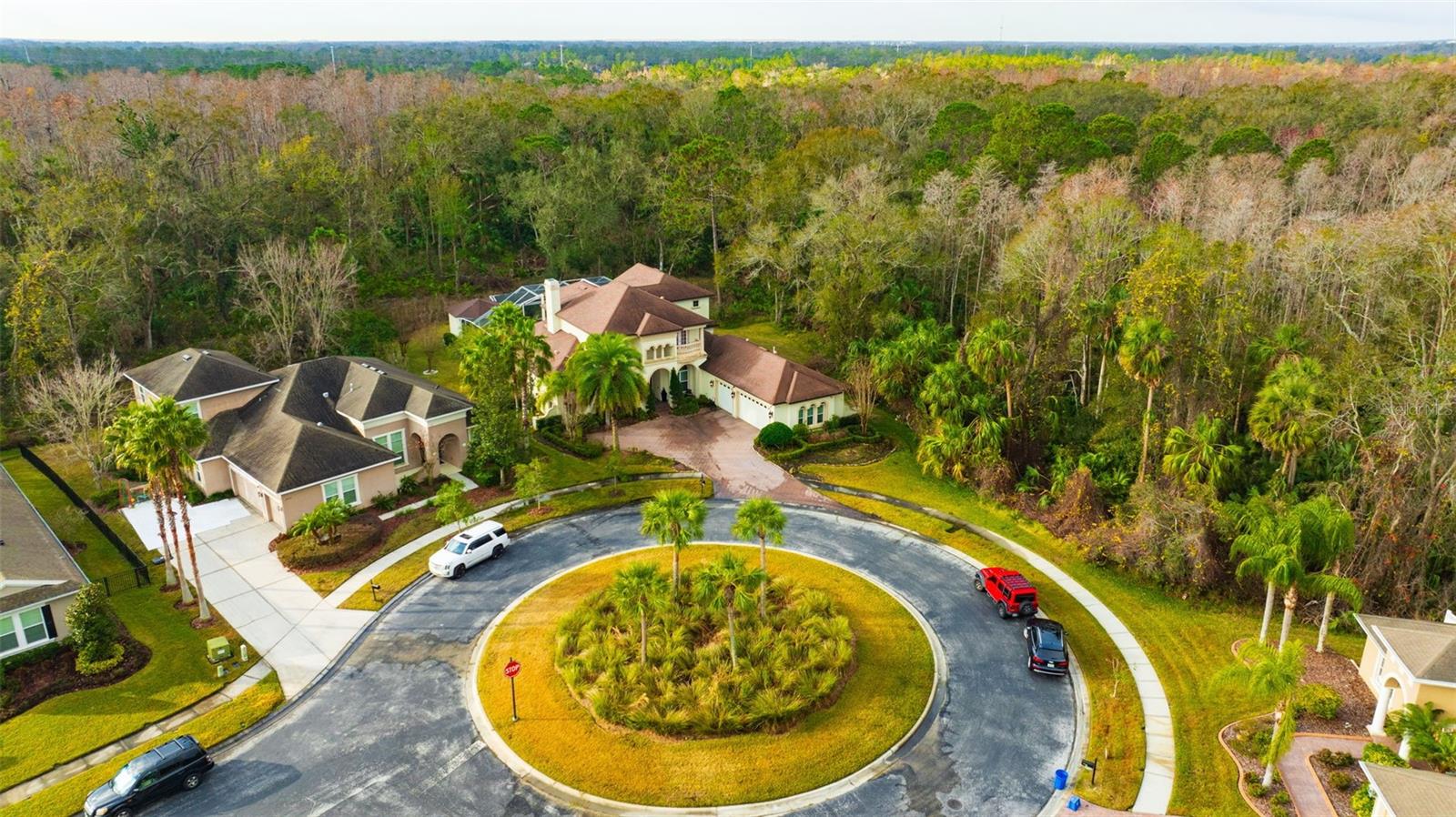 27708 INDIGO POND CT, WESLEY CHAPEL, FL, 33544