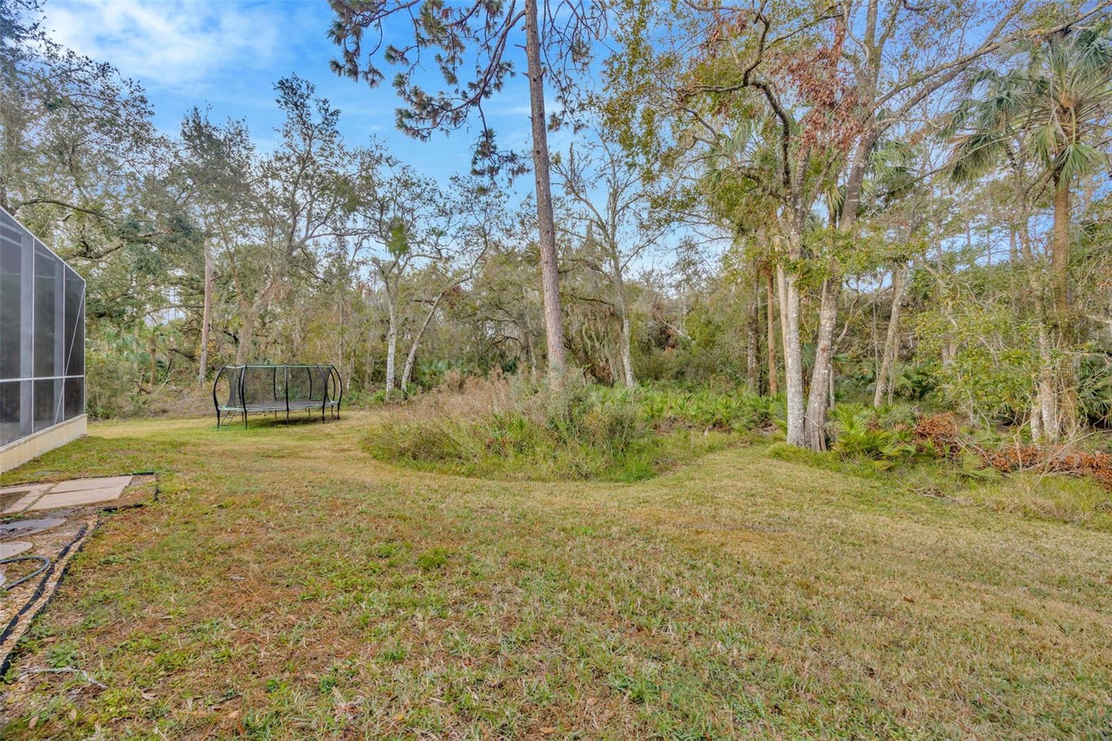 27708 INDIGO POND CT, WESLEY CHAPEL, FL, 33544