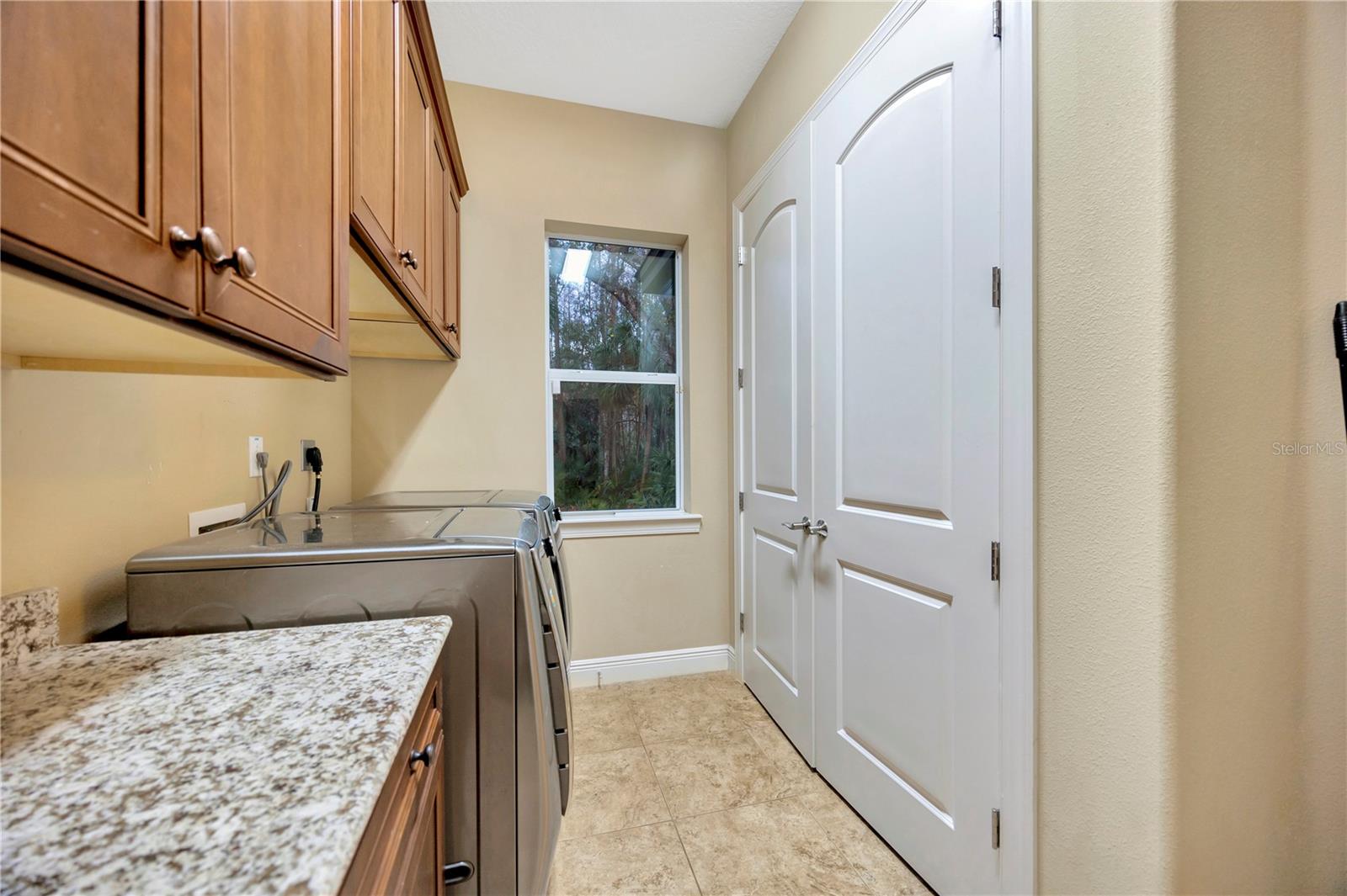 27708 INDIGO POND CT, WESLEY CHAPEL, FL, 33544