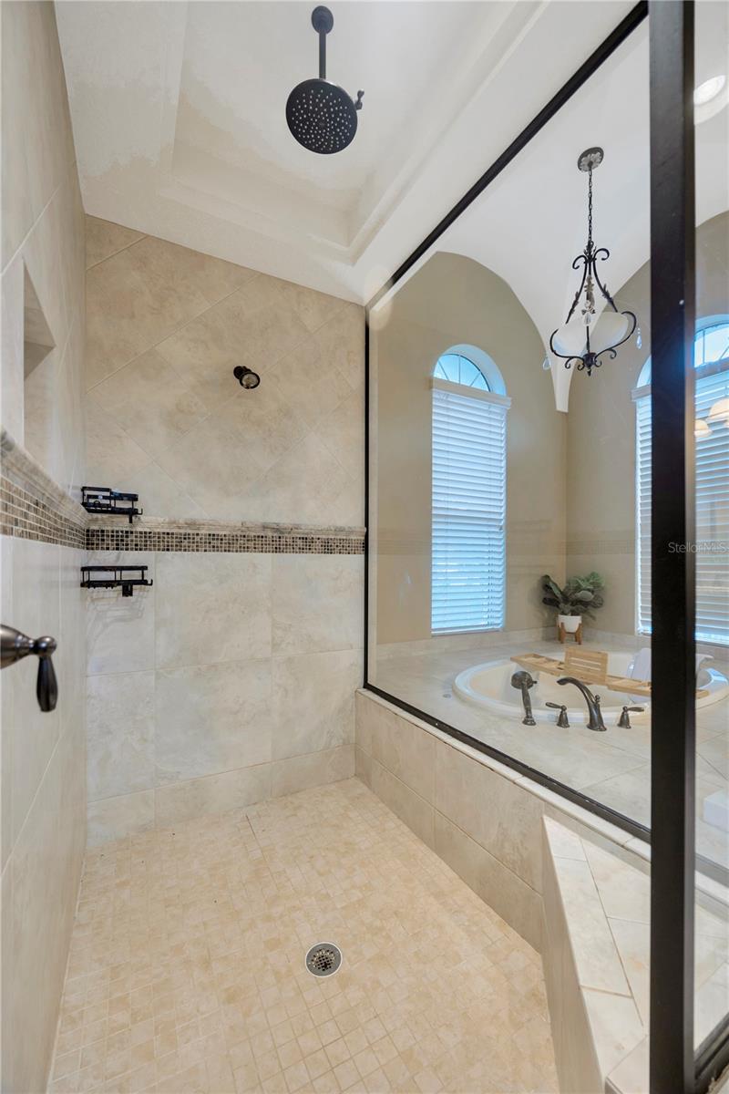 27708 INDIGO POND CT, WESLEY CHAPEL, FL, 33544