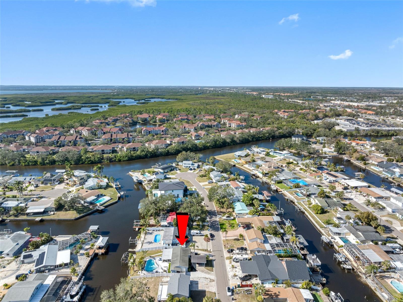 10718 DALTON AVE, TAMPA, FL, 33615