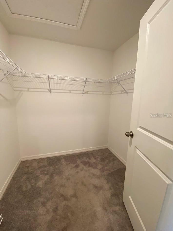 9658 MULBERRY MARSH LN, SUN CITY CENTER, FL, 33573