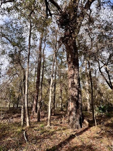 65TH PL, BRANFORD, FL, 32008