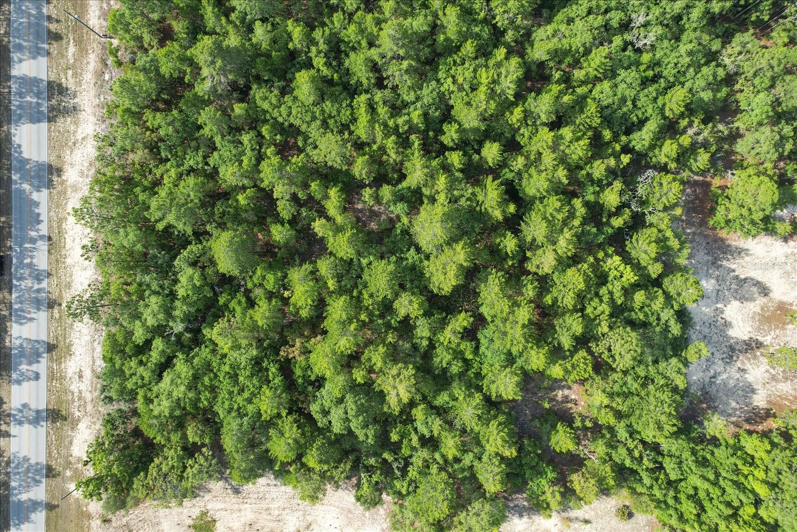 6449 W PINE RIDGE BLVD, BEVERLY HILLS, FL, 34465