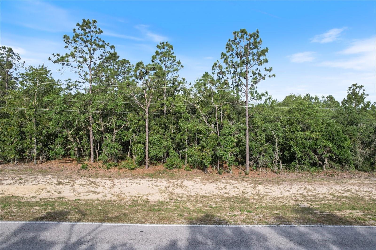 6449 W PINE RIDGE BLVD, BEVERLY HILLS, FL, 34465