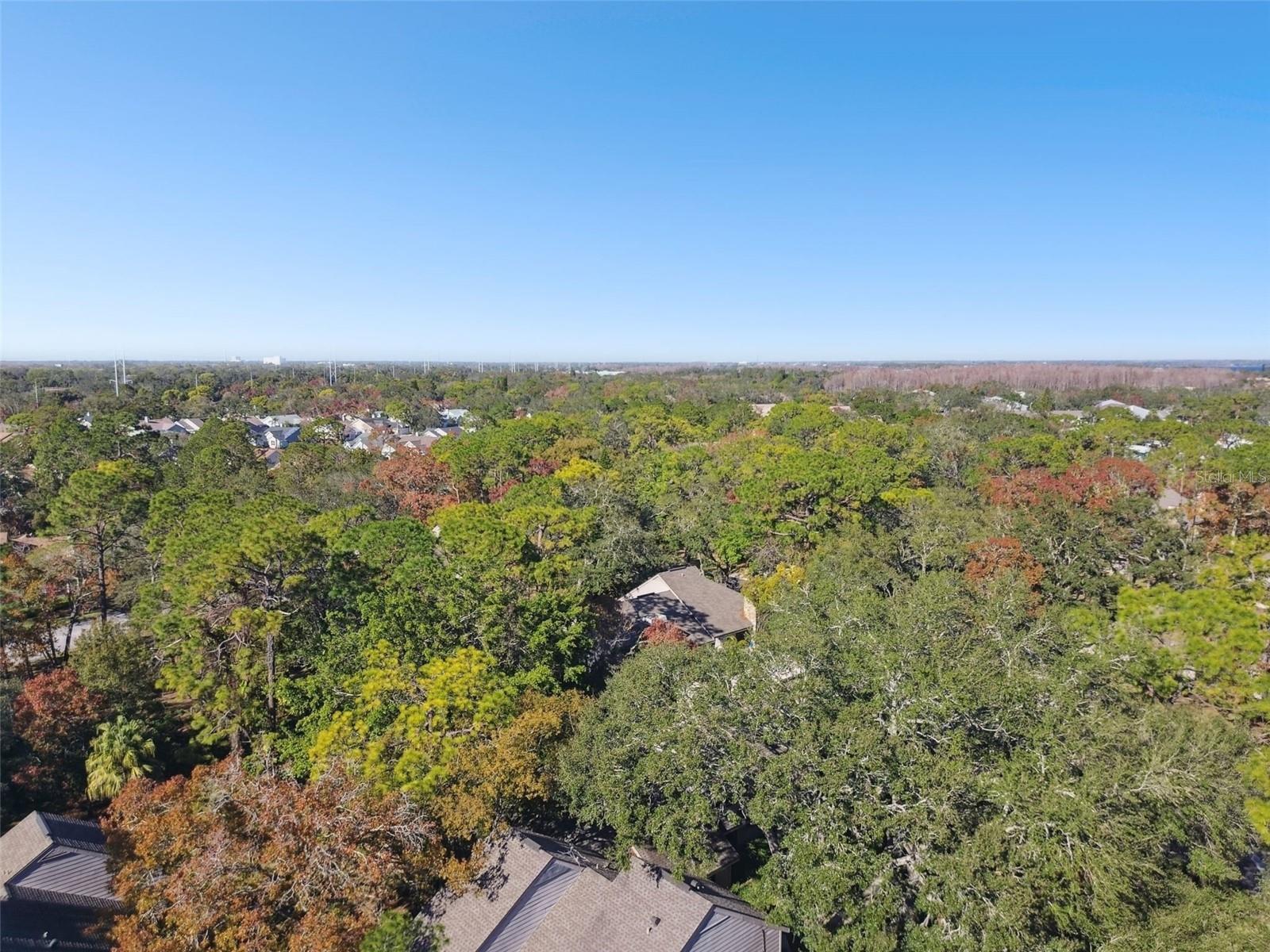 503 OLD MILL POND RD, PALM HARBOR, FL, 34683