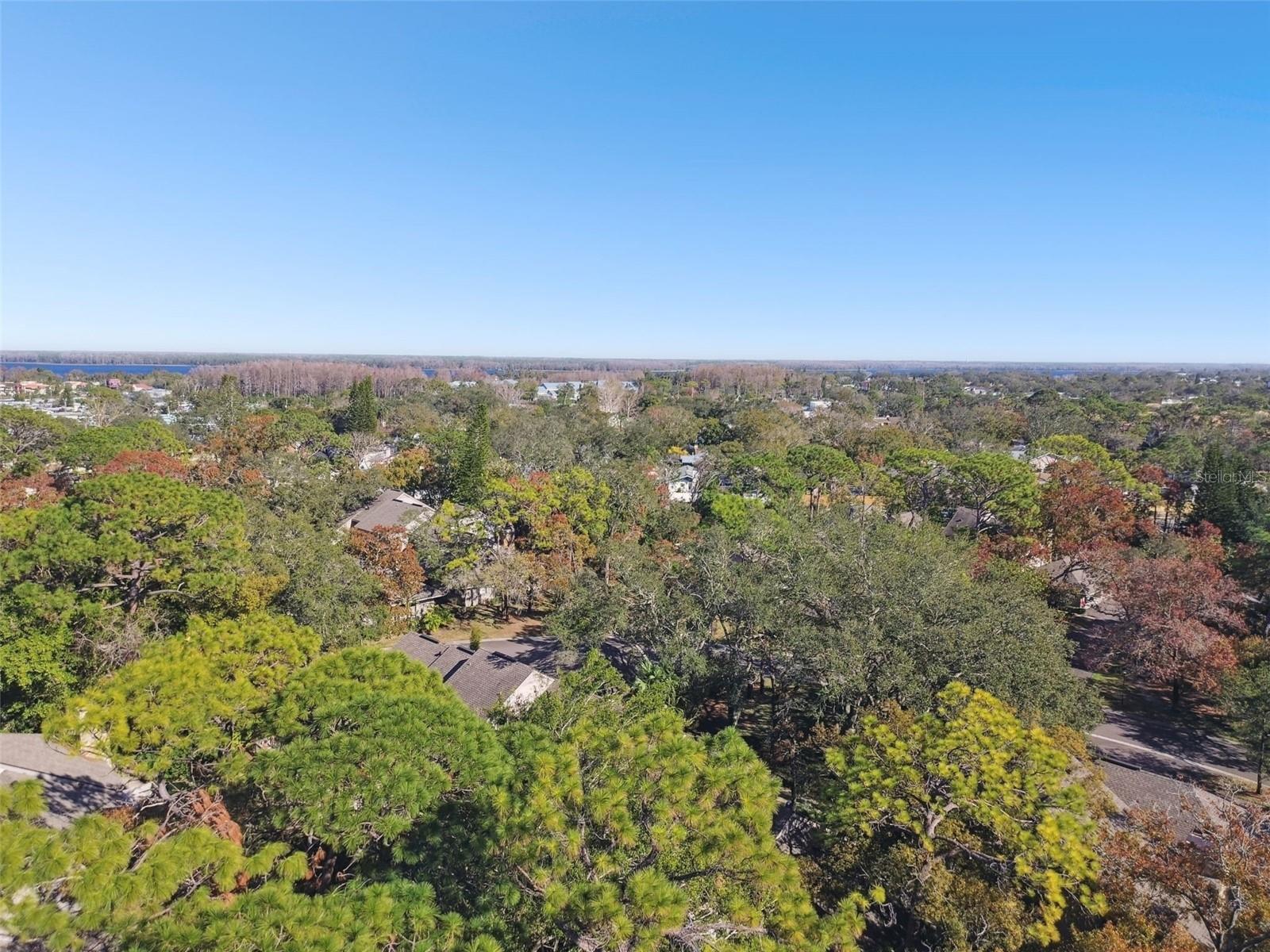 503 OLD MILL POND RD, PALM HARBOR, FL, 34683