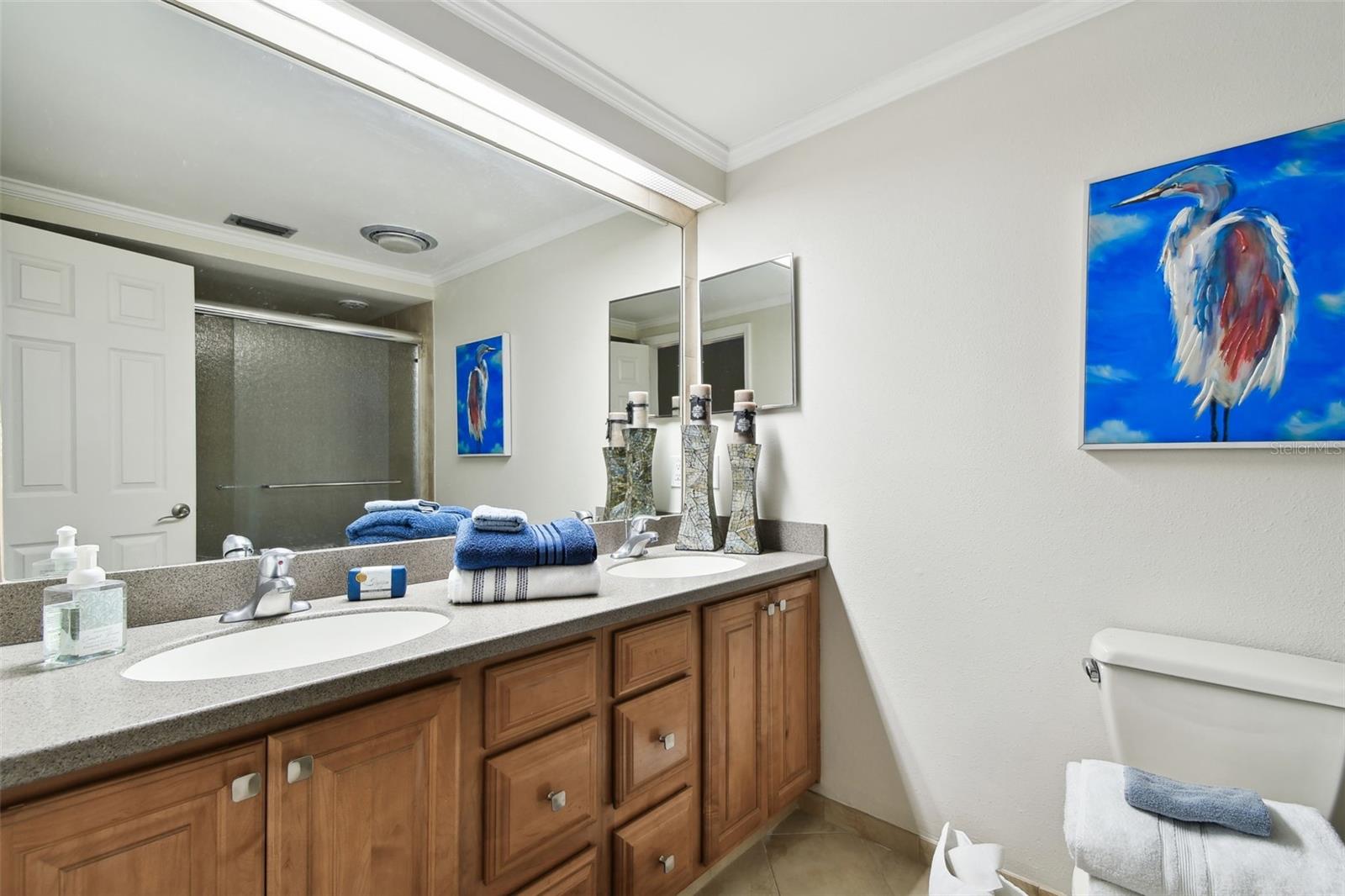 503 OLD MILL POND RD, PALM HARBOR, FL, 34683