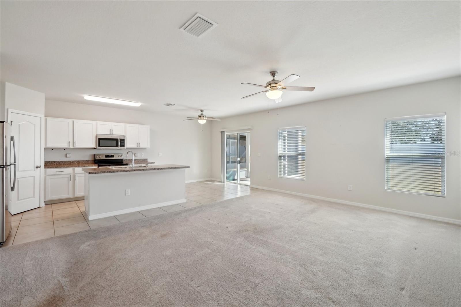 14458 HADDON MIST DR, WIMAUMA, FL, 33598