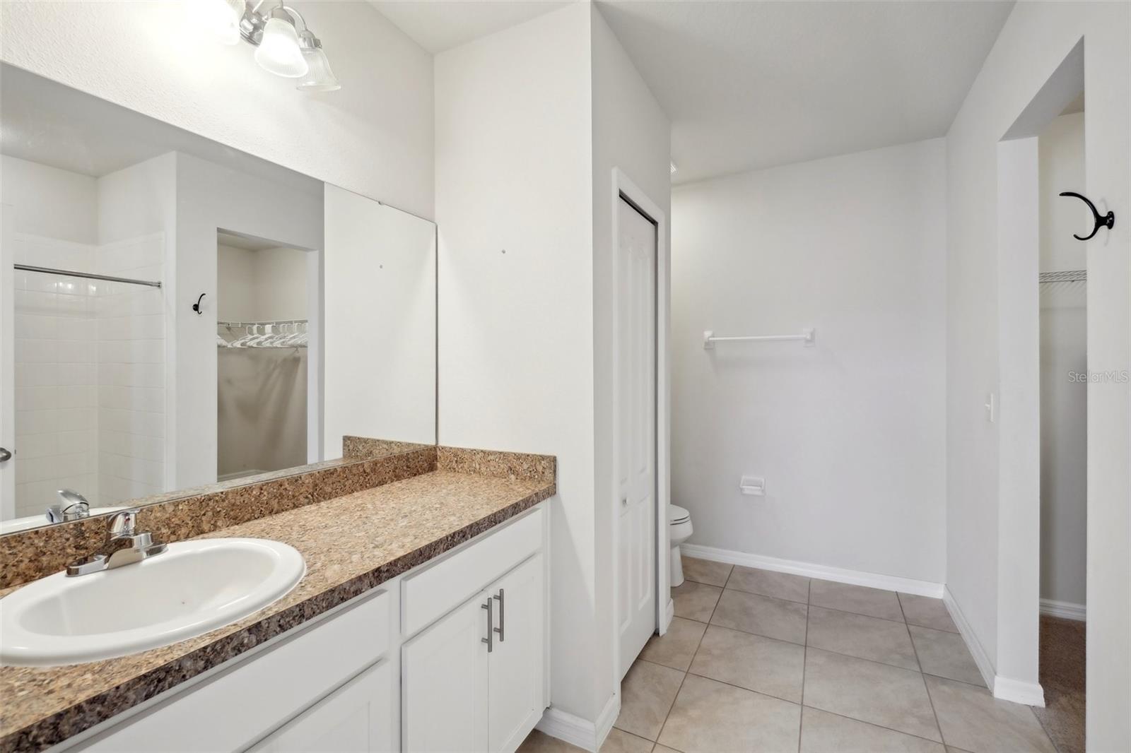 14458 HADDON MIST DR, WIMAUMA, FL, 33598