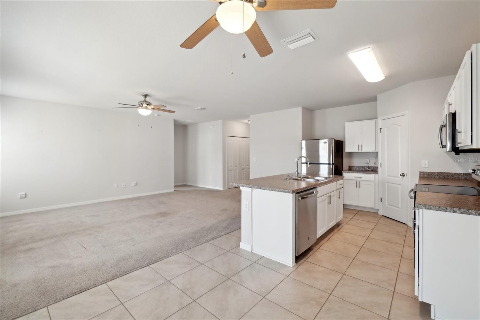 14458 HADDON MIST DR, WIMAUMA, FL, 33598