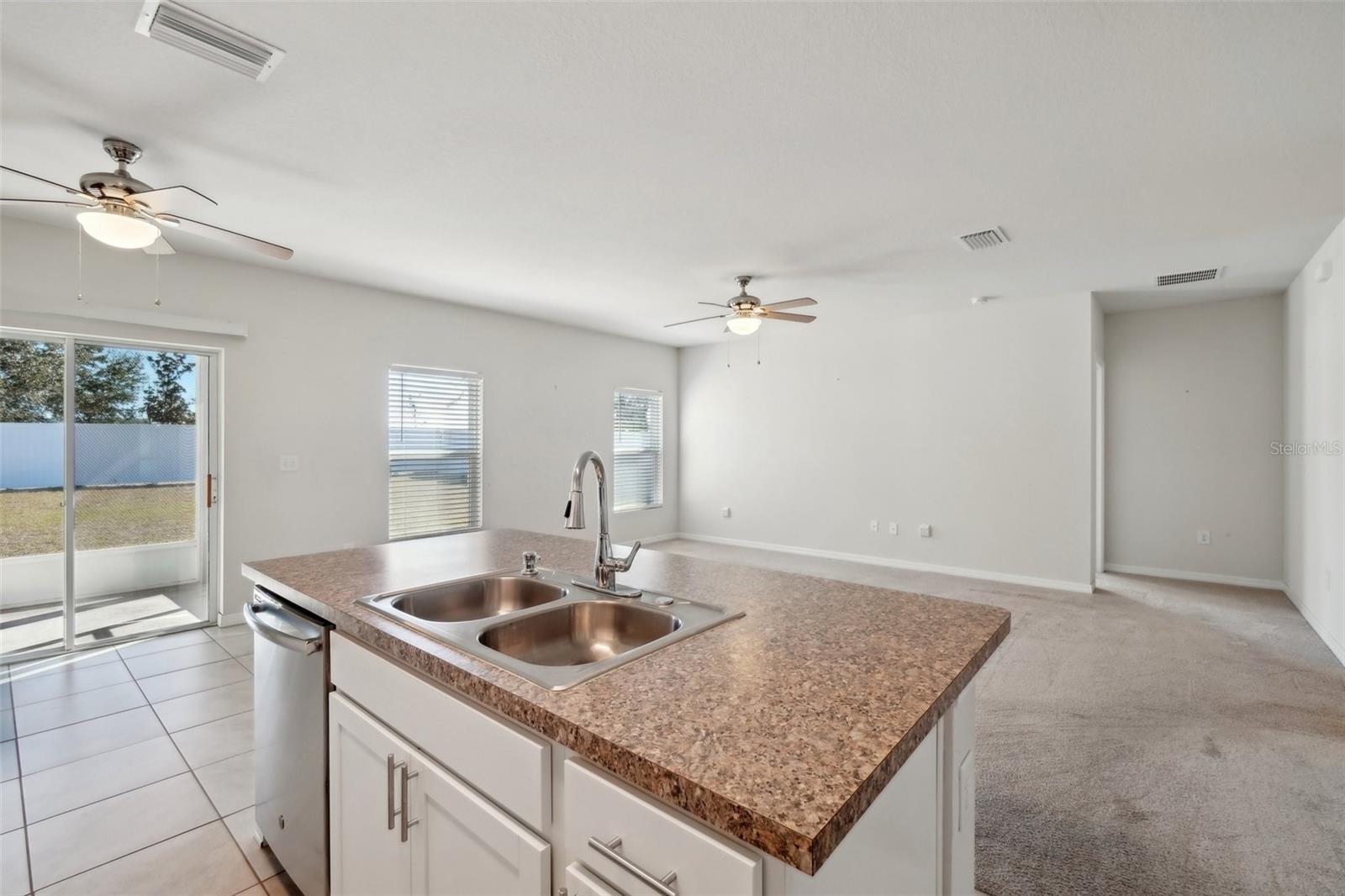 14458 HADDON MIST DR, WIMAUMA, FL, 33598