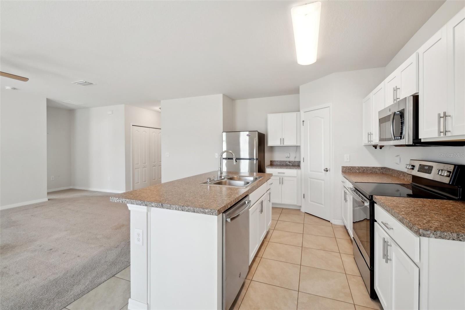 14458 HADDON MIST DR, WIMAUMA, FL, 33598