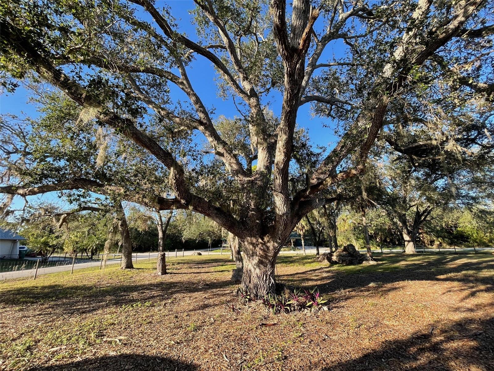 18506 KLINGLER CIR, PORT CHARLOTTE, FL, 33948