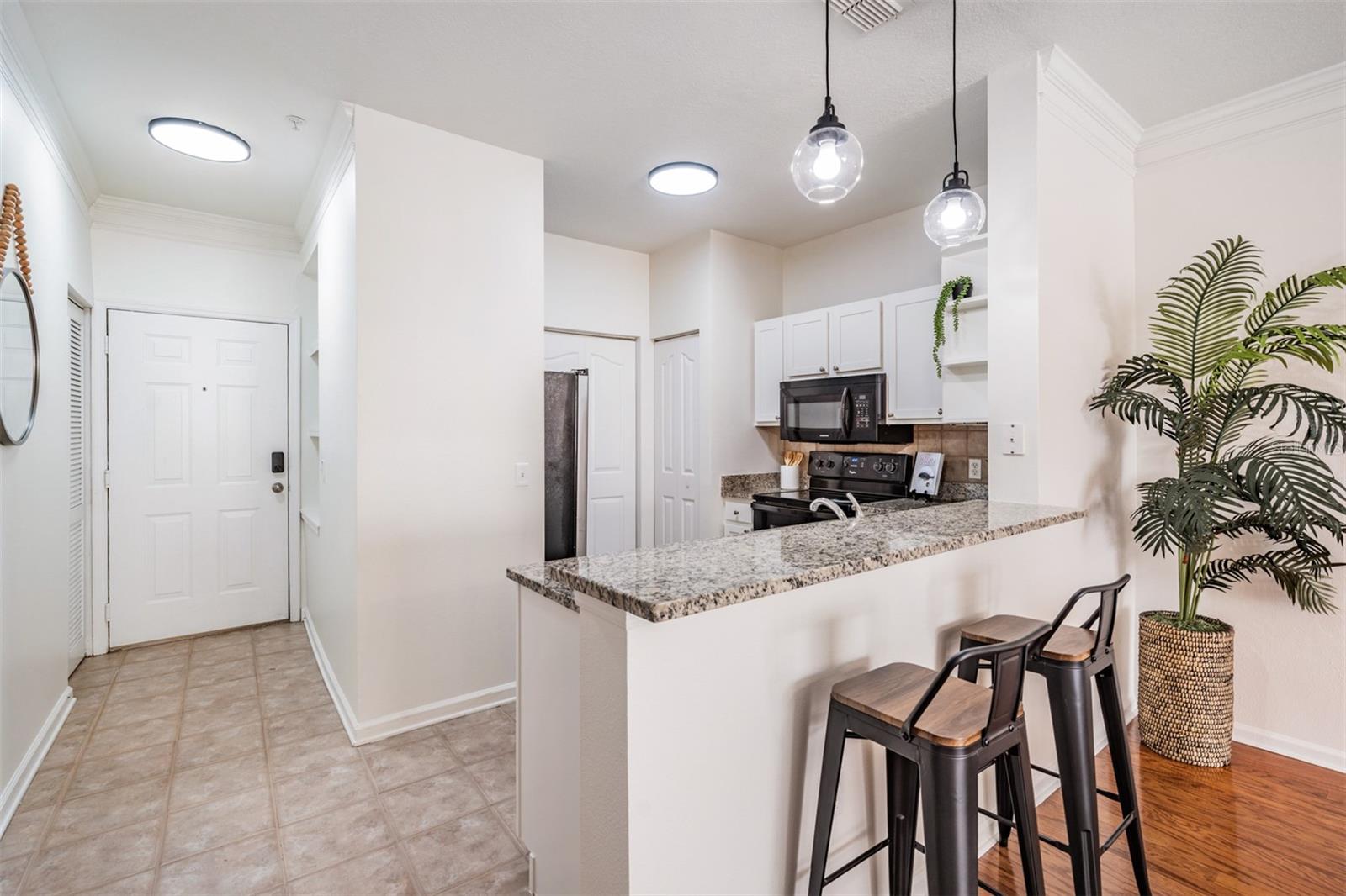 4207 S DALE MABRY HWY #5205, TAMPA, FL, 33611
